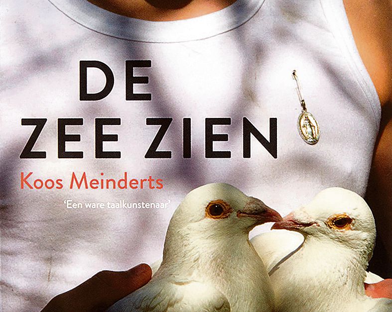 De zee zien